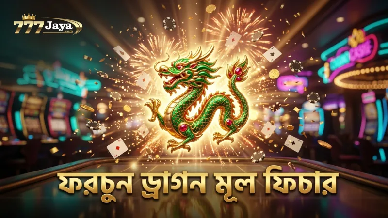 ফরচুন ড্রাগনের মূল ফিচারগুলো ভালোভাবে বুঝে নেওয়া জরুরি